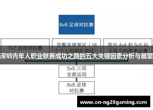 深圳青年人职业联赛成功之路的五大关键因素分析与展望